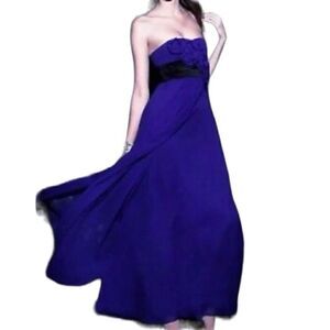 BCBG Maxazria Chiffon gown silk dregal blue size 12 NWT